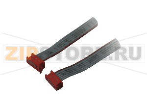 Датчик для систем доступа Mounting aid DGE TopScan2 Cable 300 mm Pepperl+Fuchs Описание оборудованияRibbon cable for connecting sensor modules