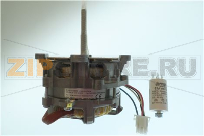 MOT204.01004 Motore Mon. 230V 50/60 HZ 2 