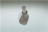 ACCESSORIO FRUSTA