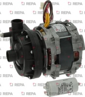 ELECTROPUMP LGB ZF160SX 0.55HP