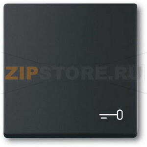 Клавиша выключателя c символом &quot;Ключ&quot;, чёрный бархат ABB 2CKA001751A3202 