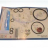 CARPICARE KIT 191 241P &amp; P/SP 6/12 MESI - CARPICARE KIT 191 241P &amp; P/SP 6/12 MESI
