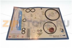 CARPICARE KIT 191 241P &amp; P/SP 6/12 MESI 