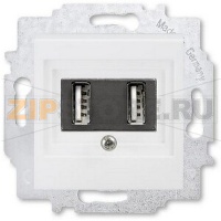 USB-розетка двойная, белая ABB 2CHH290040A6003