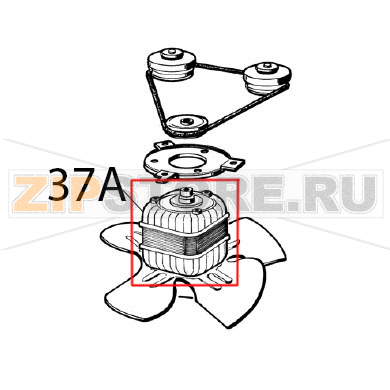 Fan/pump motor 220 V, 60 Hz Ugolini Arctic Compact 8/4 Fan/pump motor 220 V, 60 Hz Ugolini Arctic Compact 8/4Запчасть на деталировке под номером: 37A