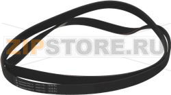 BELT HUTCHINSON 1316 J5 