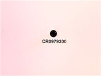 KNOB [C]