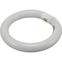 Лампа люминесцентная 210х30 мм, 22 Вт, цоколь: G10q, 1 шт Toolcraft 821595