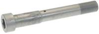 PERNO PULEGGIA