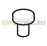 Tappino x foro vite grigio Saeco Royal Coffee Bar FWA