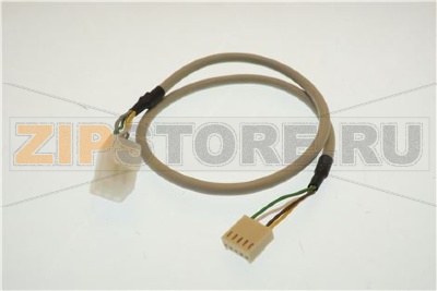 CAVO INTERFACCCIA EXECUTIVE 24V 500 mm 