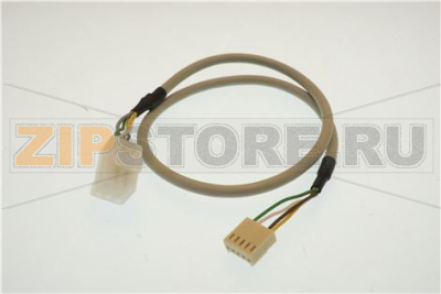 CAVO INTERFACCCIA EXECUTIVE 24V 500 mm 