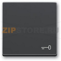 Клавиша выключателя c символом "Ключ", антрацитовая ABB 2CKA001751A3196