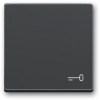 Клавиша выключателя c символом "Ключ", антрацитовая ABB 2CKA001751A3196