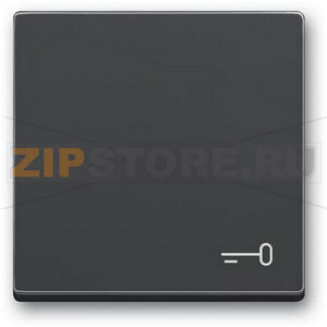 Клавиша выключателя c символом &quot;Ключ&quot;, антрацитовая ABB 2CKA001751A3196 