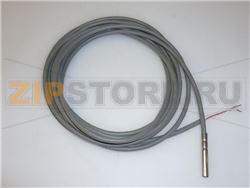 TEMPERATURE PROBE 
