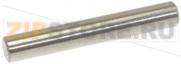 PERNO ø 6x40 mm PER LEVA DI SCARICO
