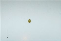 ANELLO
