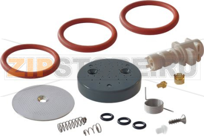INFUSER KIT DELONGHI 5513235511 