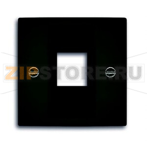 Накладка для коммуникационных розеток ABB 2CKA001753A0214 