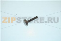 VITE M5X25 CODRONATA