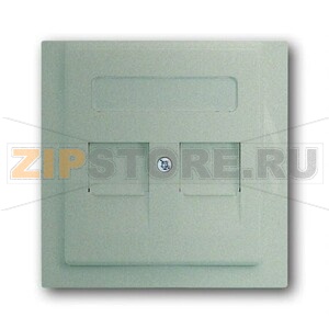 Накладка для коммуникационных розеток с суппортами и полем для надписи ABB 2CKA001753A8691 