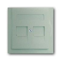 Накладка для коммуникационных розеток с суппортами и полем для надписи ABB 2CKA001753A8691