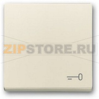 Клавиша выключателя c символом "Ключ", слоновая кость ABB 2CKA001751A3197