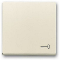 Клавиша выключателя c символом "Ключ", слоновая кость ABB 2CKA001751A3197