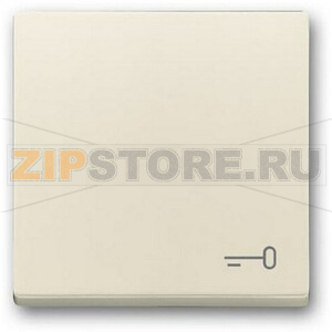 Клавиша выключателя c символом &quot;Ключ&quot;, слоновая кость ABB 2CKA001751A3197 