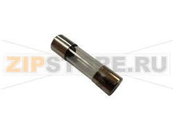 BOITE 10 FUSIB.VERRE 5X20 250mA RAPIDE 