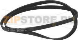 BELT HUTCHINSON 1321 J5 