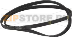 BELT HUTCHINSON 1321 J5 