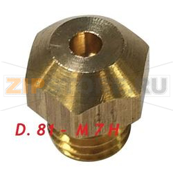 0.81 INJECTOR NG 
