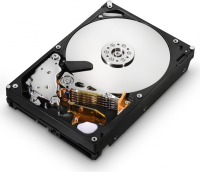 Жесткий диск NetApp E-X4026A-R6