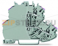 Double-deck terminal block; 4-conductor through terminal block; with end plate; L; without marker carrier; internal commoning; conductor entry with violet marking; for DIN-rail 35 x 15 and 35 x 7.5; 2.5 mm?; Push-in CAGE CLAMP®; 2,50 mm?; gray Wago 2002-2