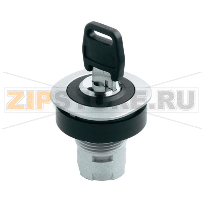 Выключатель с ключом, металлик, черный, 1x90°, 1 шт Schlegel RQJSSA18 
