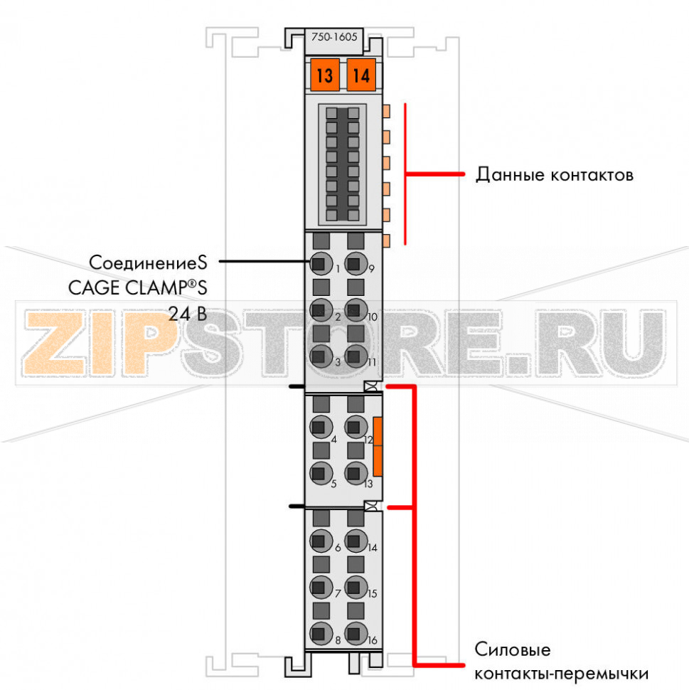 Распределение потенциалов; 16-канальный, 24 В; - Wago 750-1605 