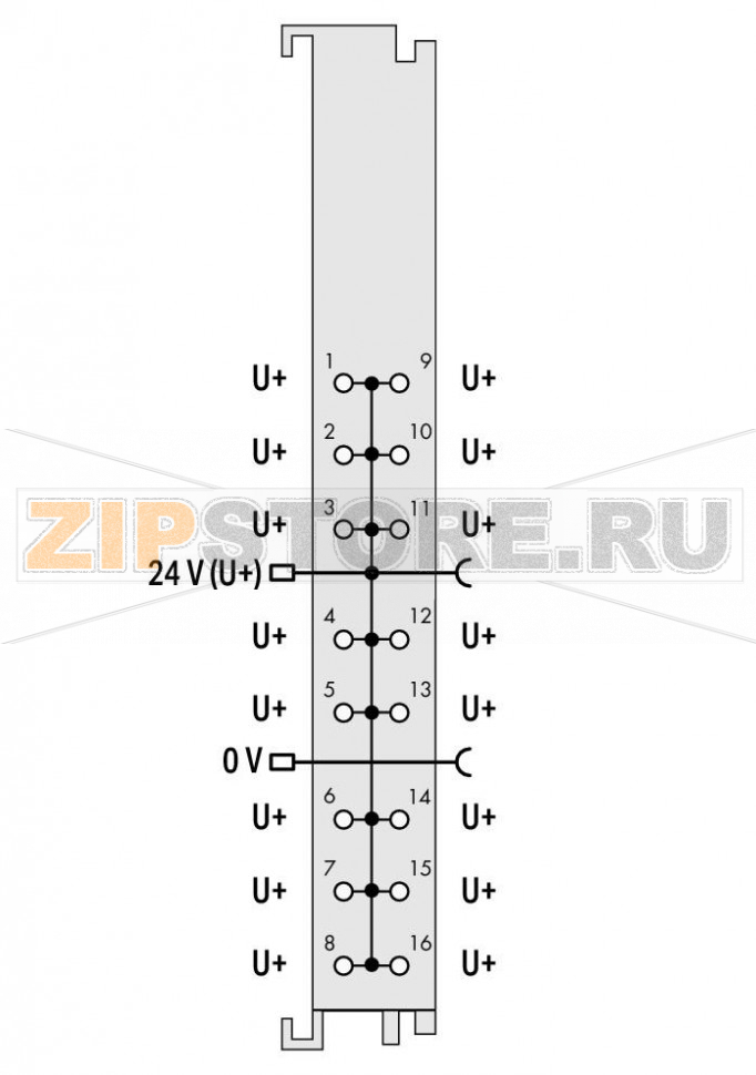 Распределение потенциалов; 16-канальный, 24 В; - Wago 750-1605 