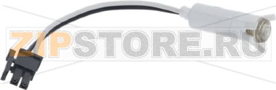 White Light Steam Silvia Pro 