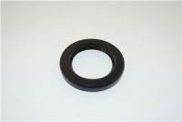 ANELLO TENUTA