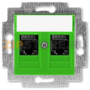 Розетка компьютерная, 2хRJ45, зелёная ABB 2CHH296118A6067 