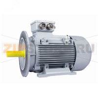 Электродвигатель 2.2 кВт, 220/380 В, 1500 об/мин, IP55 ESQ 01.05.02.000127