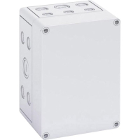 Корпус 130x180x111 мм, материал: поликарбонат, серый, 1 шт Spelsberg TK PC 1813-11-m