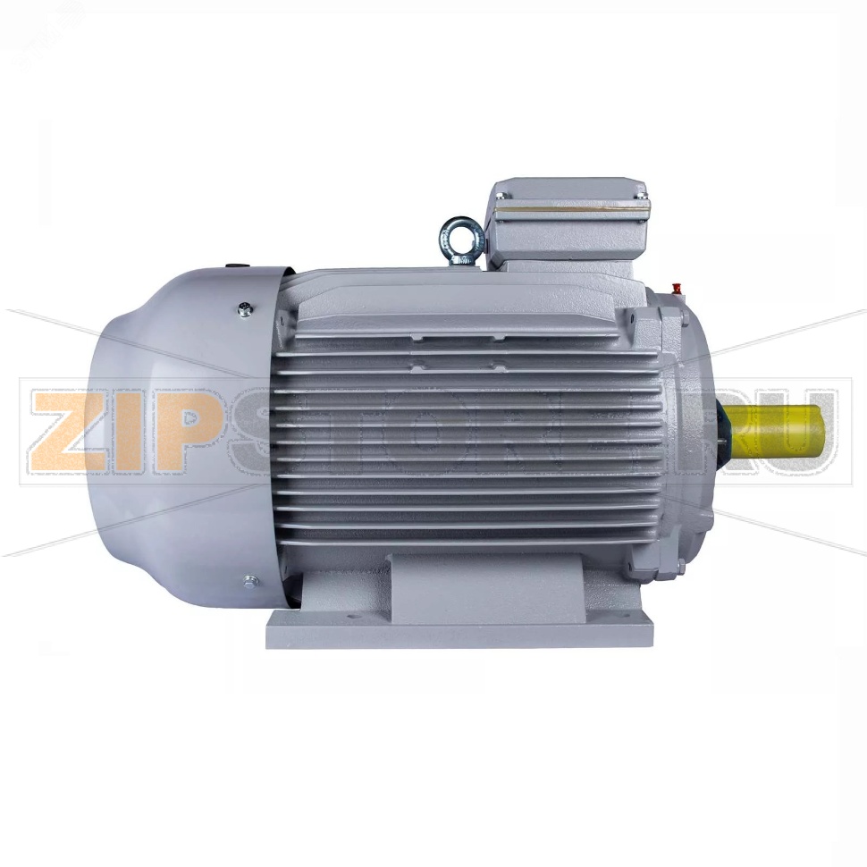 Электродвигатель 55 кВт, 380/660 В, 1000 об/мин, IP55 ESQ 01.05.02.222801 