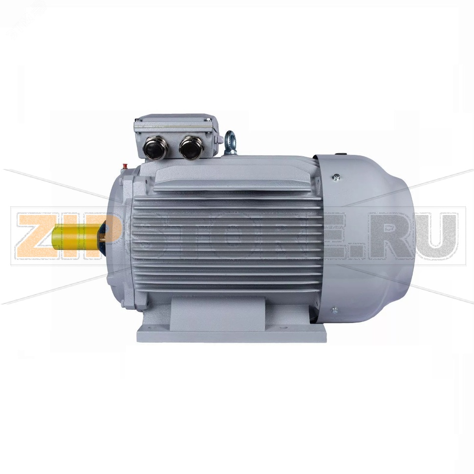 Электродвигатель 55 кВт, 380/660 В, 1000 об/мин, IP55 ESQ 01.05.02.222801 