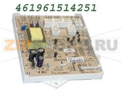 SCHEDA ELETTRONICA WHIP 480131000045 