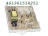 SCHEDA ELETTRONICA WHIP 480131000045