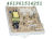 SCHEDA ELETTRONICA WHIP 480131000045