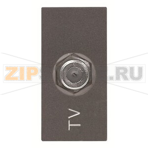 Розетка TV, антрацитовая ABB 2CLA215000N1801 